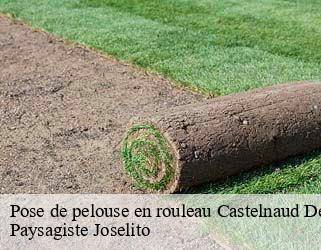 Pose de pelouse en rouleau  castelnaud-de-gratecambe-47290 Paysagiste Joselito