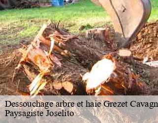 Dessouchage arbre et haie  grezet-cavagnan-47250 Paysagiste Joselito