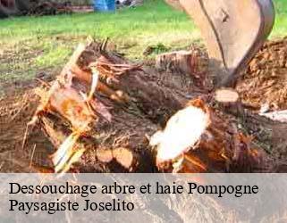 Dessouchage arbre et haie  pompogne-47420 Paysagiste Joselito