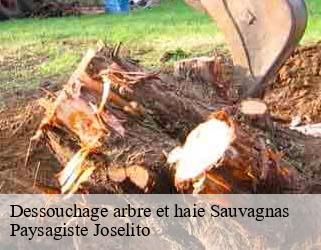 Dessouchage arbre et haie  sauvagnas-47340 Paysagiste Joselito
