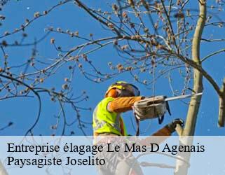 Entreprise élagage  le-mas-d-agenais-47430 Paysagiste Joselito