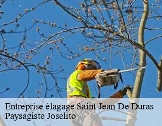 Entreprise élagage  saint-jean-de-duras-47120 Paysagiste Joselito
