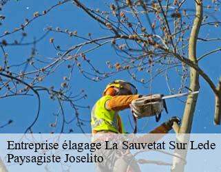 Entreprise élagage  la-sauvetat-sur-lede-47150 Paysagiste Joselito