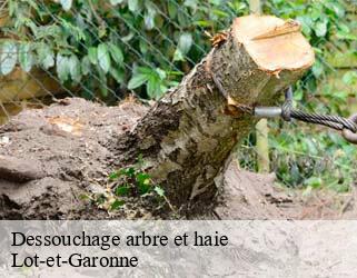 Dessouchage arbre et haie Lot-et-Garonne 