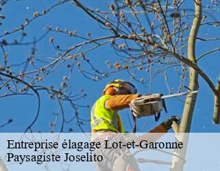 Entreprise élagage 47 Lot-et-Garonne  Paysagiste Joselito