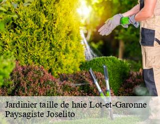 Jardinier taille de haie 47 Lot-et-Garonne  Paysagiste Joselito