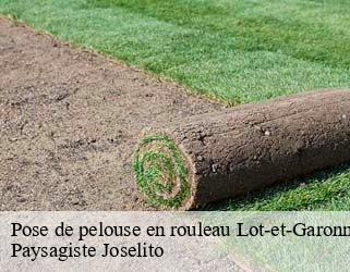 Pose de pelouse en rouleau 47 Lot-et-Garonne  Paysagiste Joselito