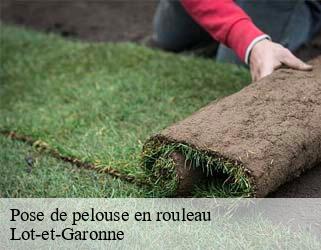 Pose de pelouse en rouleau Lot-et-Garonne 
