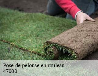 Pose de pelouse en rouleau  47000