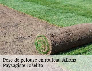 Pose de pelouse en rouleau  allons-47420 Paysagiste Joselito