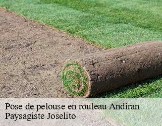 Pose de pelouse en rouleau  andiran-47170 Paysagiste Joselito