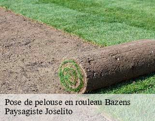 Pose de pelouse en rouleau  bazens-47130 Paysagiste Joselito