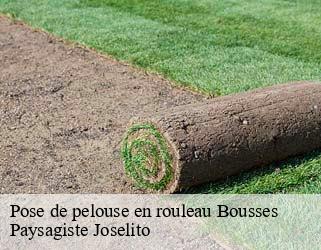Pose de pelouse en rouleau  bousses-47420 Paysagiste Joselito