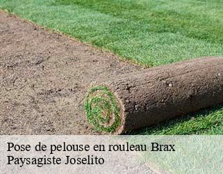 Pose de pelouse en rouleau  brax-47310 Paysagiste Joselito