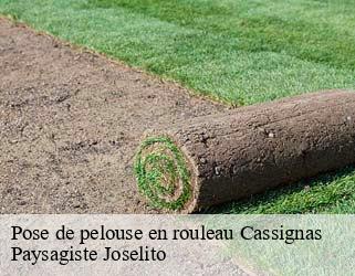Pose de pelouse en rouleau  cassignas-47340 Paysagiste Joselito