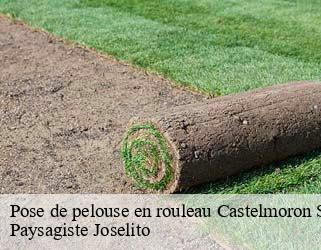 Pose de pelouse en rouleau  castelmoron-sur-lot-47260 Paysagiste Joselito