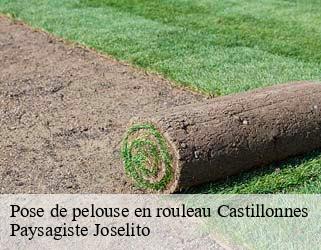 Pose de pelouse en rouleau  castillonnes-47330 Paysagiste Joselito