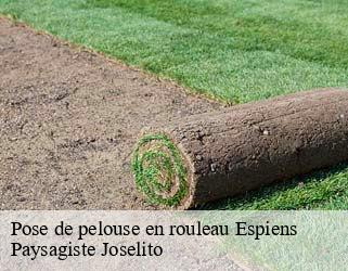 Pose de pelouse en rouleau  espiens-47600 Paysagiste Joselito