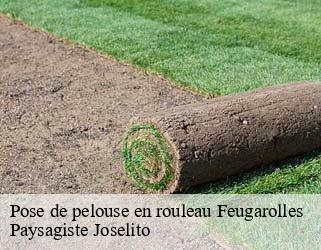 Pose de pelouse en rouleau  feugarolles-47230 Paysagiste Joselito