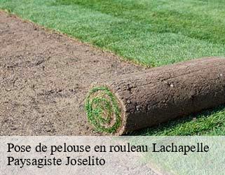 Pose de pelouse en rouleau  lachapelle-47350 Paysagiste Joselito