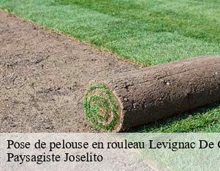 Pose de pelouse en rouleau  levignac-de-guyenne-47120 Paysagiste Joselito
