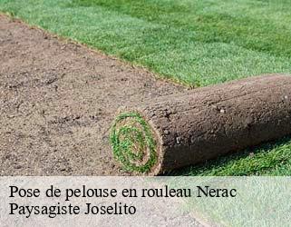 Pose de pelouse en rouleau  nerac-47600 Paysagiste Joselito