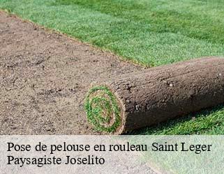 Pose de pelouse en rouleau  saint-leger-47160 Paysagiste Joselito