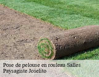 Pose de pelouse en rouleau  salles-47150 Paysagiste Joselito