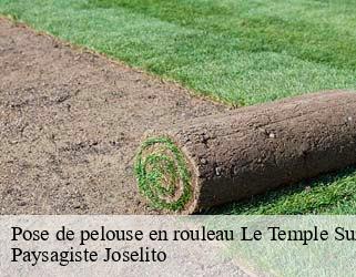 Pose de pelouse en rouleau  le-temple-sur-lot-47110 Paysagiste Joselito