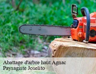 Abattage d'arbre haut  agnac-47800 Paysagiste Joselito