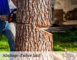 Abattage d'arbre haut