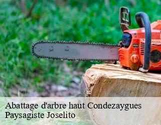 Abattage d'arbre haut  condezaygues-47500 Paysagiste Joselito