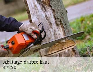 Abattage d'arbre haut 47250
