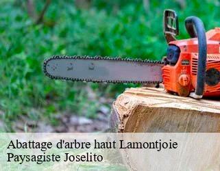 Abattage d'arbre haut  lamontjoie-47310 Paysagiste Joselito