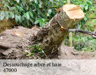 Dessouchage arbre et haie  47000