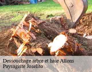 Dessouchage arbre et haie  allons-47420 Paysagiste Joselito