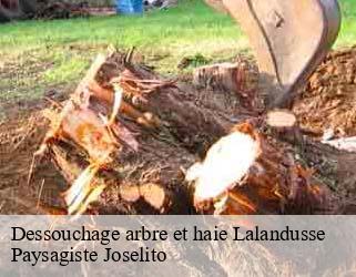 Dessouchage arbre et haie  lalandusse-47330 Paysagiste Joselito