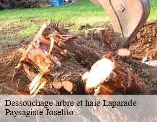 Dessouchage arbre et haie laparade-47260 Paysagiste Joselito