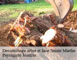Dessouchage arbre et haie  sainte-marthe-47430 Paysagiste Joselito