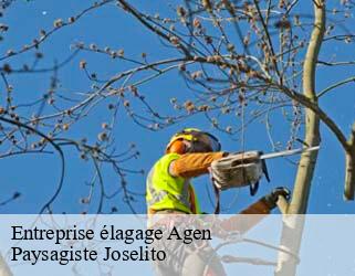 Entreprise élagage  agen-47000 Paysagiste Joselito