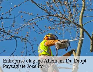 Entreprise élagage  allemans-du-dropt-47800 Paysagiste Joselito