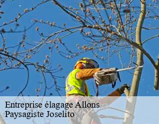 Entreprise élagage  allons-47420 Paysagiste Joselito