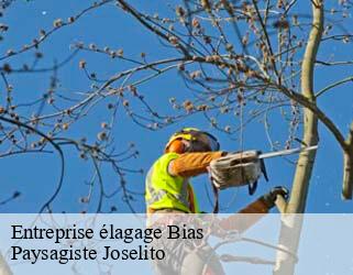 Entreprise élagage  bias-47300 Paysagiste Joselito