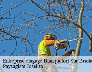 Entreprise élagage  blanquefort-sur-briolance-47500 Paysagiste Joselito