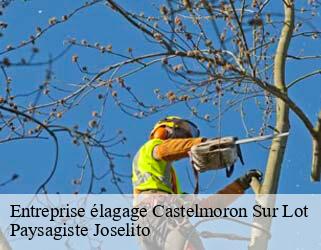 Entreprise élagage castelmoron-sur-lot-47260 Paysagiste Joselito