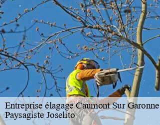 Entreprise élagage  caumont-sur-garonne-47430 Paysagiste Joselito