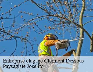 Entreprise élagage  clermont-dessous-47130 Paysagiste Joselito