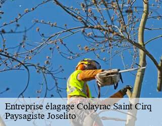 Entreprise élagage colayrac-saint-cirq-47450 Paysagiste Joselito