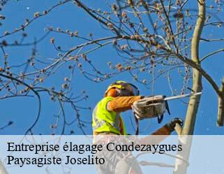 Entreprise élagage  condezaygues-47500 Paysagiste Joselito