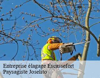 Entreprise élagage  escassefort-47350 Paysagiste Joselito